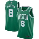Jonas Jerebko Twill Basketball Jersey -Celtics #8 Jerebko Twill Jerseys, FREE SHIPPING