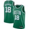 Green Bob Brannum Twill Basketball Jersey -Celtics #18 Brannum Twill Jerseys, FREE SHIPPING