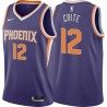 Purple Winston Crite SUNS #12 Twill Basketball Jersey FREE SHIPPING