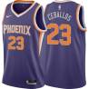 Purple Cedric Ceballos SUNS #23 Twill Basketball Jersey FREE SHIPPING