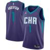 Dark_Purple_CHA Derek Anderson Hornets #1 Twill Basketball Jersey FREE SHIPPING