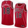 Tom Boerwinkle Twill Basketball Jersey -Bulls #18 Boerwinkle Twill Jerseys, FREE SHIPPING