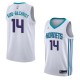 White2 Michael Kidd-Gilchrist Hornets #14 Twill Basketball Jersey FREE SHIPPING