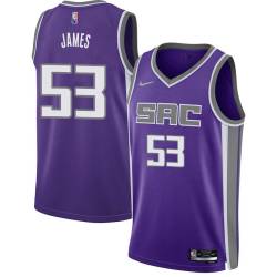 Jerome James Kings #53 Twill Basketball Jersey FREE SHIPPING