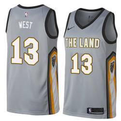 Gray Delonte West Twill Basketball Jersey -Cavaliers #13 West Twill Jerseys, FREE SHIPPING