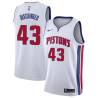 White Terry Dischinger Pistons #43 Twill Basketball Jersey FREE SHIPPING