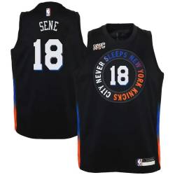 2020-21City Mouhamed Sene Twill Basketball Jersey -Knicks #18 Sene Twill Jerseys, FREE SHIPPING