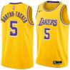 Gold Talen Horton-Tucker Lakers #5 Twill Basketball Jersey FREE SHIPPING