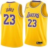 Gold LeBron James Lakers #23 Twill Basketball Jersey FREE SHIPPING