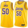 Gold Jemerrio Jones Lakers #50 Twill Basketball Jersey FREE SHIPPING