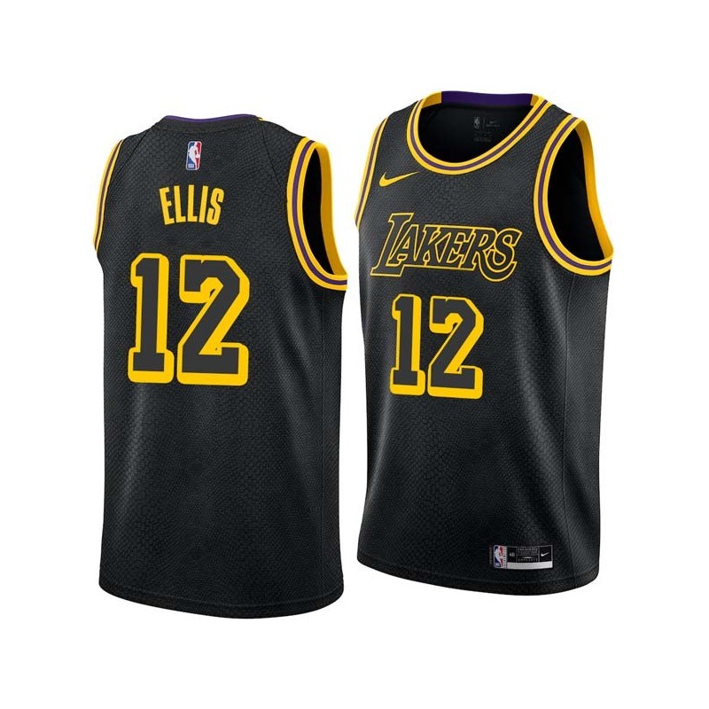 2017-18City Boo Ellis Twill Basketball Jersey -Lakers #12 Ellis Twill Jerseys, FREE SHIPPING