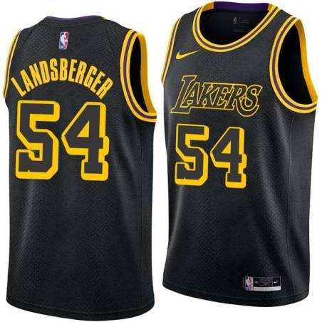 2017-18City Mark Landsberger Twill Basketball Jersey -Lakers #54 Landsberger Twill Jerseys, FREE SHIPPING