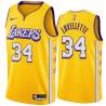 2019-20City Clyde Lovellette Twill Basketball Jersey -Lakers #34 Lovellette Twill Jerseys, FREE SHIPPING