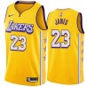 2019-20City LeBron James Lakers #23 Twill Basketball Jersey FREE SHIPPING