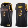 2020-21Earned LeBron James Lakers #6 Twill Basketball Jersey FREE SHIPPING