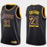 2020-21Earned Darren Collison Lakers #21 Twill Basketball Jersey FREE SHIPPING