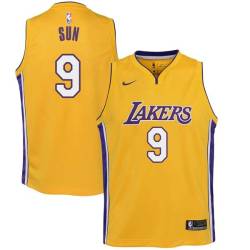 Gold2 Sun Yue Twill Basketball Jersey -Lakers #9 Yue Twill Jerseys, FREE SHIPPING