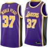 Purple Metta World Peace Twill Basketball Jersey -Lakers #37 World Peace Twill Jerseys, FREE SHIPPING