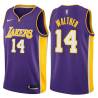 Purple2 Paul Walther Twill Basketball Jersey -Lakers #14 Walther Twill Jerseys, FREE SHIPPING