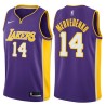 Purple2 Stanislav Medvedenko Twill Basketball Jersey -Lakers #14 Medvedenko Twill Jerseys, FREE SHIPPING