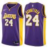 Purple2 Dick Schnittker Twill Basketball Jersey -Lakers #24 Schnittker Twill Jerseys, FREE SHIPPING