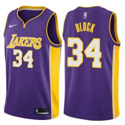 Purple2 John Block Twill Basketball Jersey -Lakers #34 Block Twill Jerseys, FREE SHIPPING