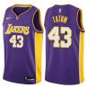 Purple2 Earl Tatum Twill Basketball Jersey -Lakers #43 Tatum Twill Jerseys, FREE SHIPPING