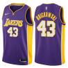 Purple2 Frank Brickowski Twill Basketball Jersey -Lakers #43 Brickowski Twill Jerseys, FREE SHIPPING