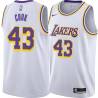 White Brian Cook Twill Basketball Jersey -Lakers #43 Cook Twill Jerseys, FREE SHIPPING