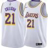 White Darren Collison Lakers #21 Twill Basketball Jersey FREE SHIPPING