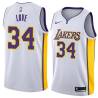 White2 Stan Love Twill Basketball Jersey -Lakers #34 Love Twill Jerseys, FREE SHIPPING
