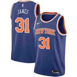 Blue Jerome James Twill Basketball Jersey -Knicks #31 James Twill Jerseys, FREE SHIPPING