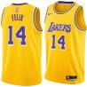 Gold Ray Felix Twill Basketball Jersey -Lakers #14 Felix Twill Jerseys, FREE SHIPPING