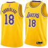 Gold Don Sunderlage Twill Basketball Jersey -Lakers #18 Sunderlage Twill Jerseys, FREE SHIPPING