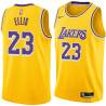 Gold Boo Ellis Twill Basketball Jersey -Lakers #23 Ellis Twill Jerseys, FREE SHIPPING