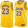 Gold Jerome Henderson Twill Basketball Jersey -Lakers #23 Henderson Twill Jerseys, FREE SHIPPING