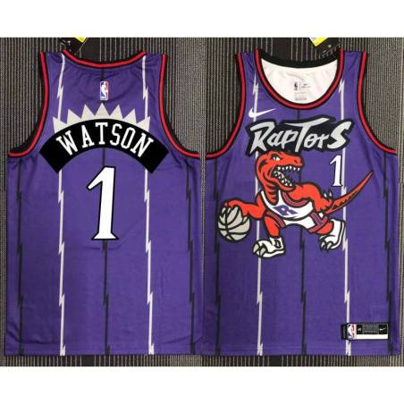 Aaron Williams Toronto Raptors 1995-1999 Throwback Purple Jersey