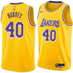 Gold Antonio Harvey Twill Basketball Jersey -Lakers #40 Harvey Twill Jerseys, FREE SHIPPING