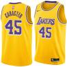 Gold Derrick Caracter Twill Basketball Jersey -Lakers #45 Caracter Twill Jerseys, FREE SHIPPING