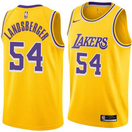 Gold Mark Landsberger Twill Basketball Jersey -Lakers #54 Landsberger Twill Jerseys, FREE SHIPPING