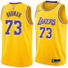 Dennis Rodman Twill Basketball Jersey -Lakers #73 Rodman Twill Jerseys, FREE SHIPPING