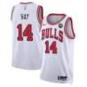 Clifford Ray Chicago Bulls White Jersey with Motorola Sponsor Patch