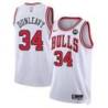 Mike Dunleavy Chicago Bulls White Jersey with Motorola Sponsor Patch