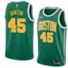 Green_Gold 2018-19 Earned Dalano Banton Celtics #45 Twill Jersey